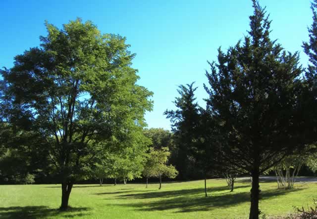 Indian Point Field